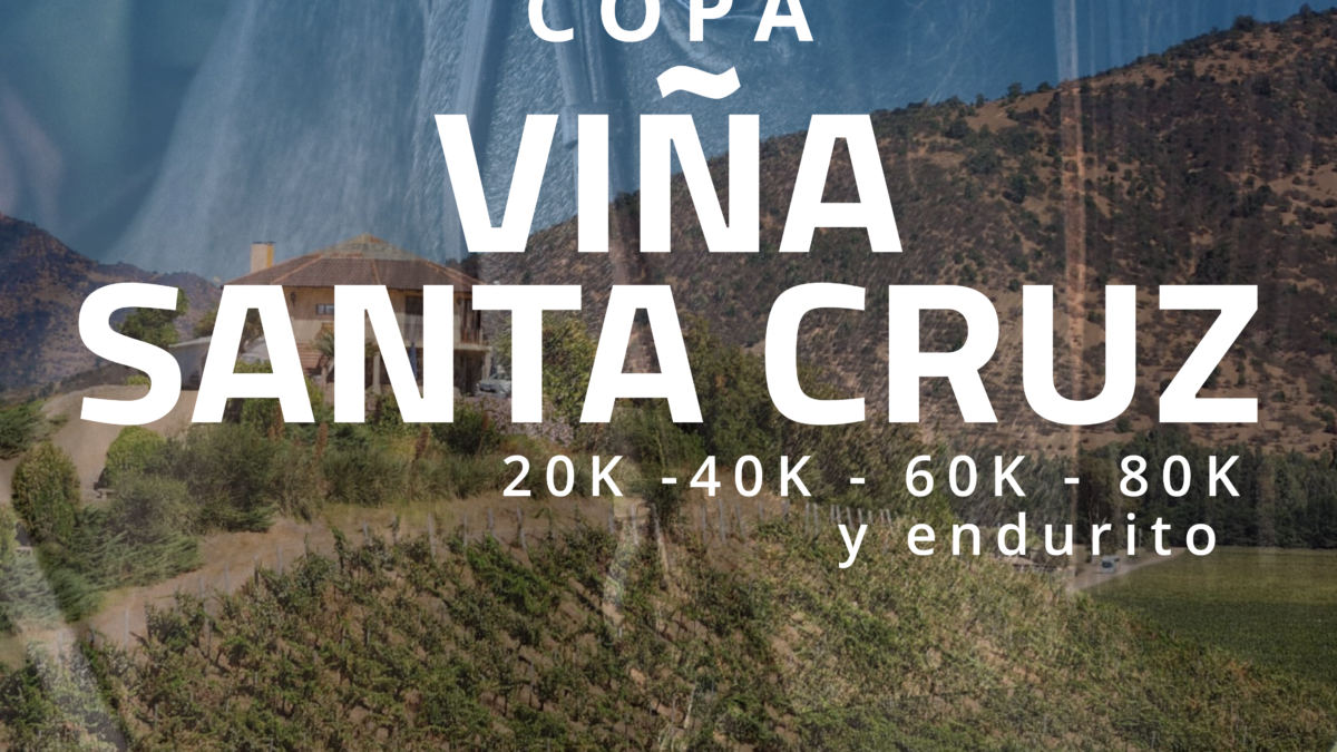 Copa Viña Santa Cruz
