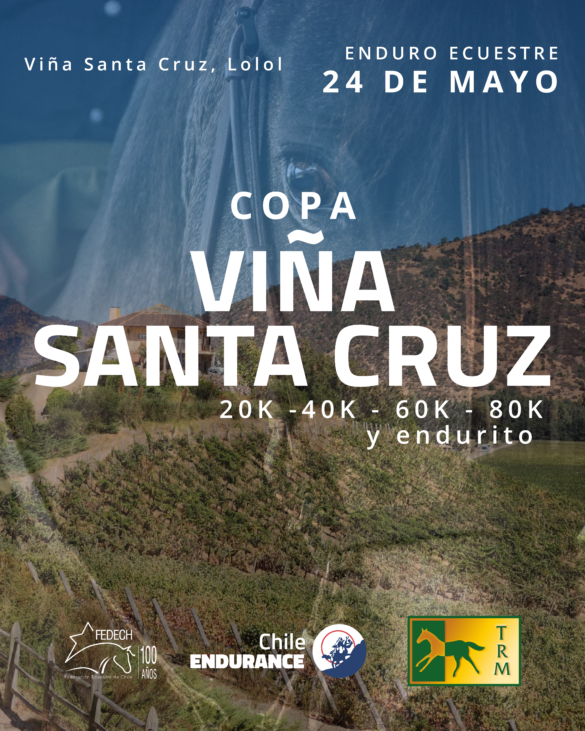 Vila Santa Cruz-05