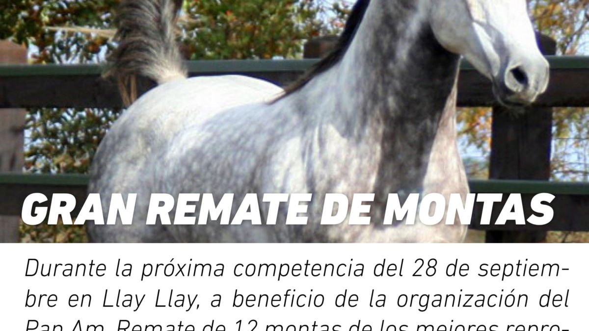 GRAN REMATE DE MONTAS