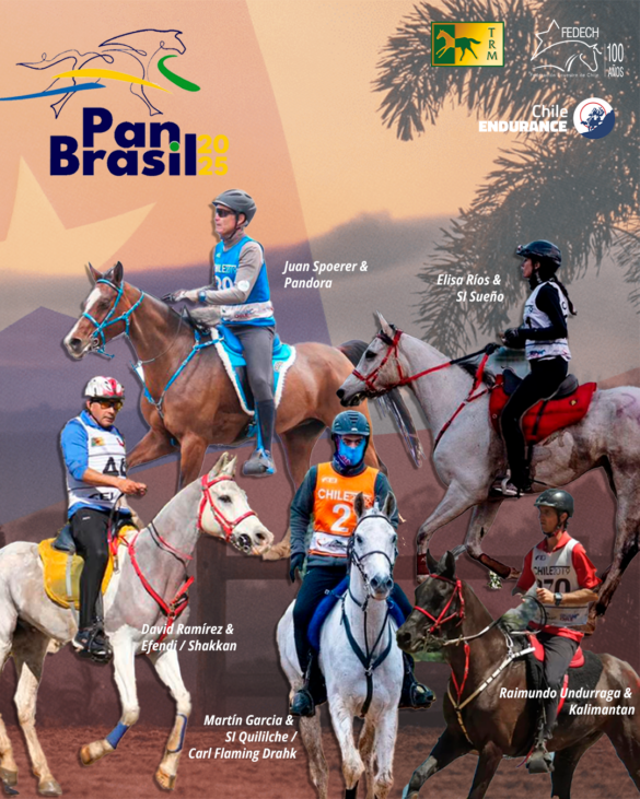 PANAM BRASIL