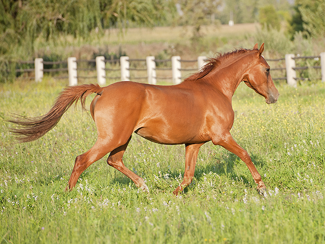 itata1