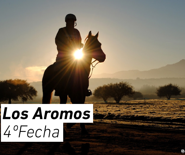 aromos_av