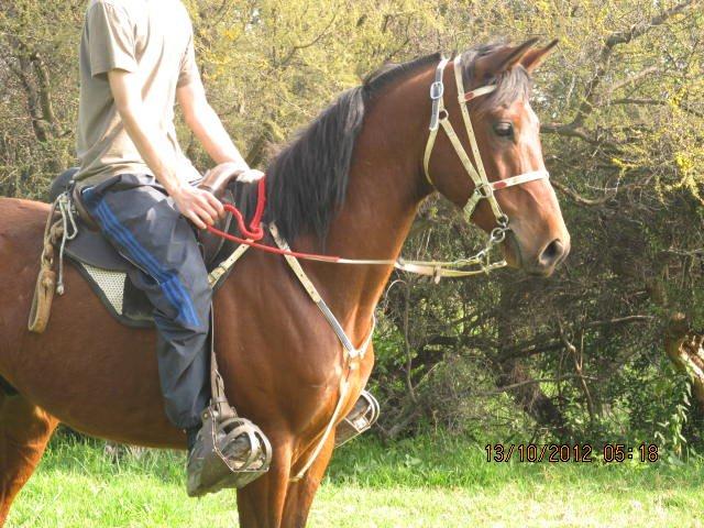 pirquinero