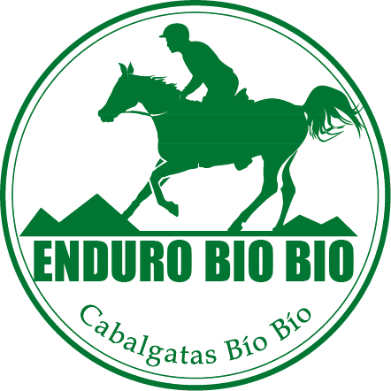 biobio logo