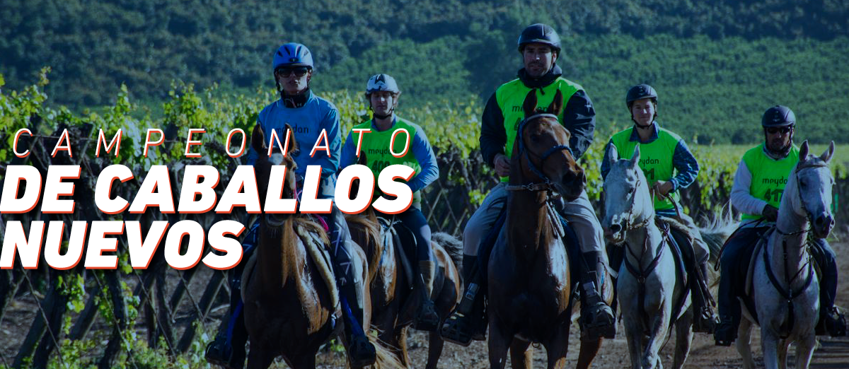 Campeonato de Caballos Nuevos