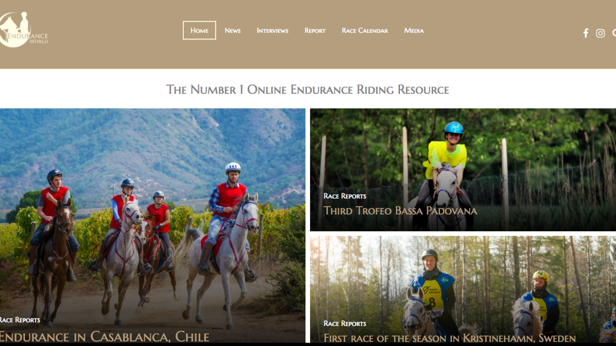 Chileendurance, en el acontecer internacional