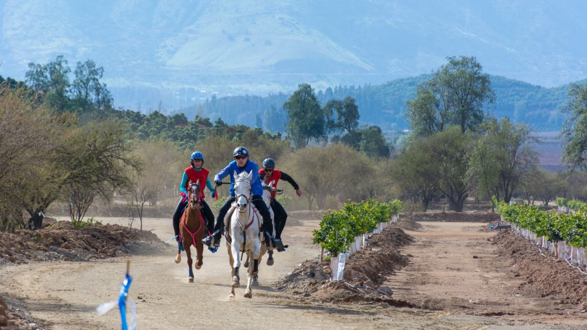 Ernesto otra vez voló en 80K