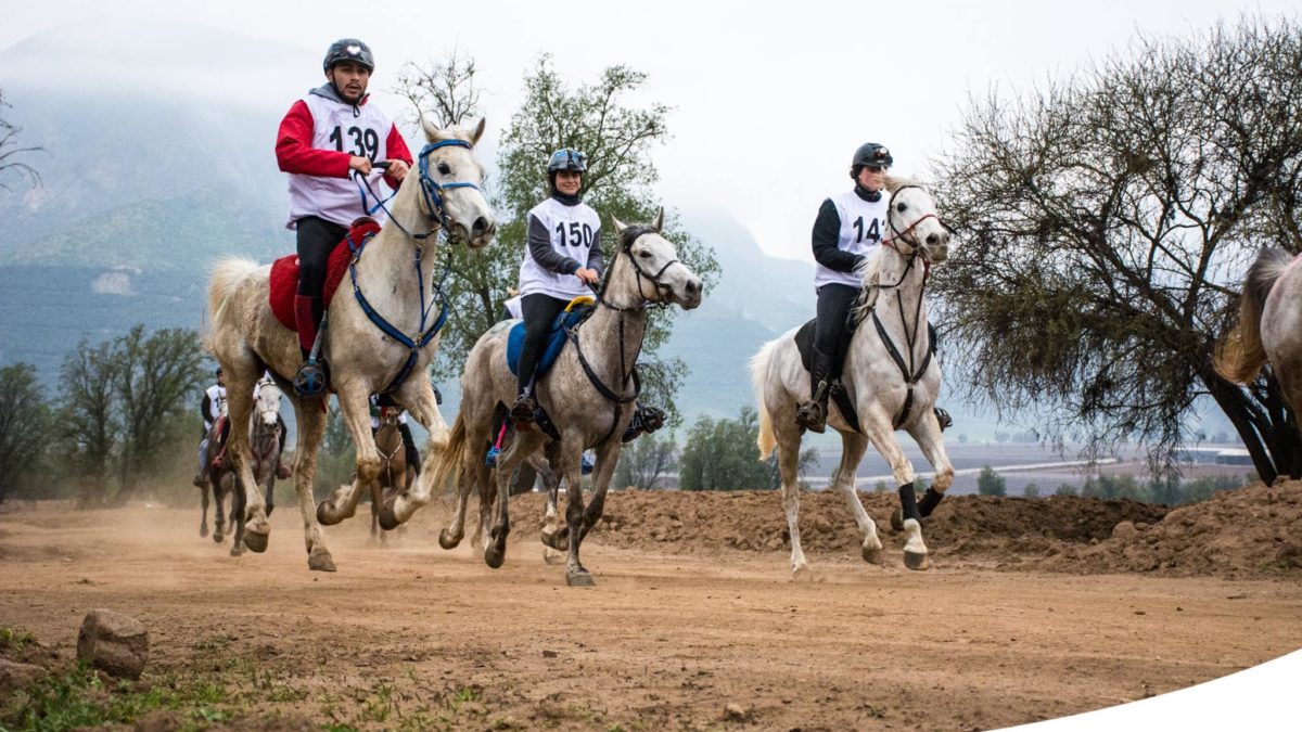 Carrera Llay-llay 21 de Julio