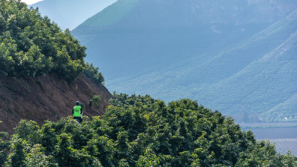 PROGRAMA PROXIMA CARRERA