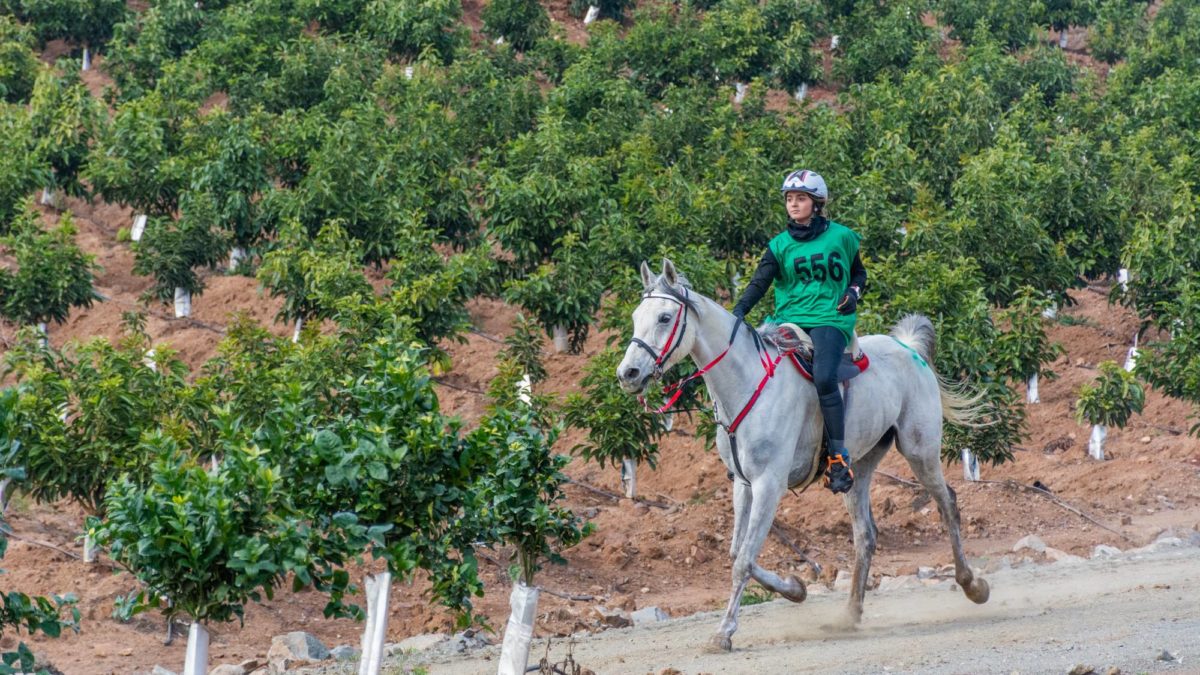 Sofia de punta a punta en 120 Young Riders