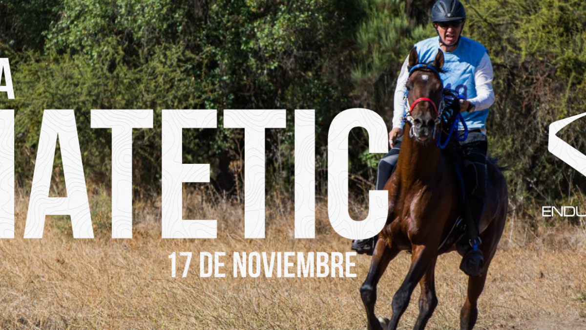 Copa Matetic – 17 de noviembre