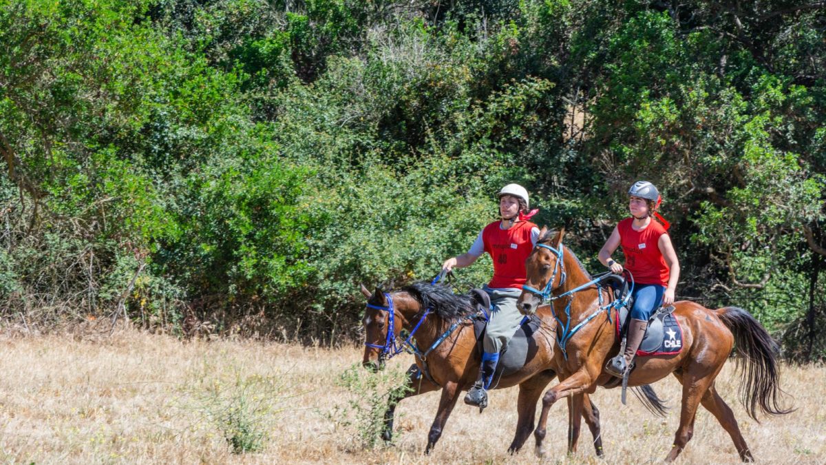 Colomba soltó un misil en los infartantes 80km yr Nacional