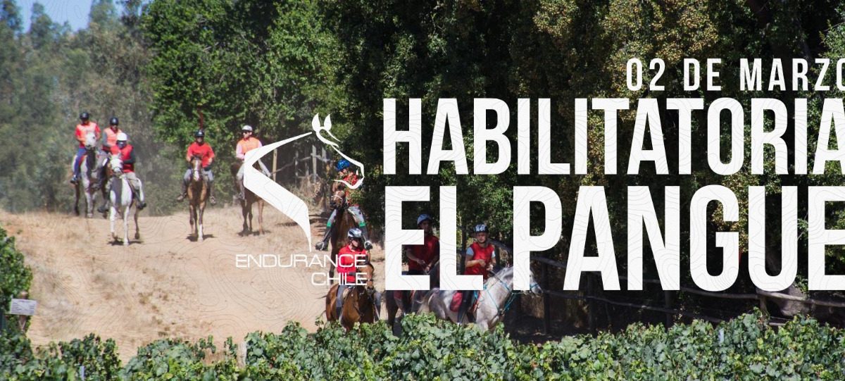 Habilitatoria el Pangue