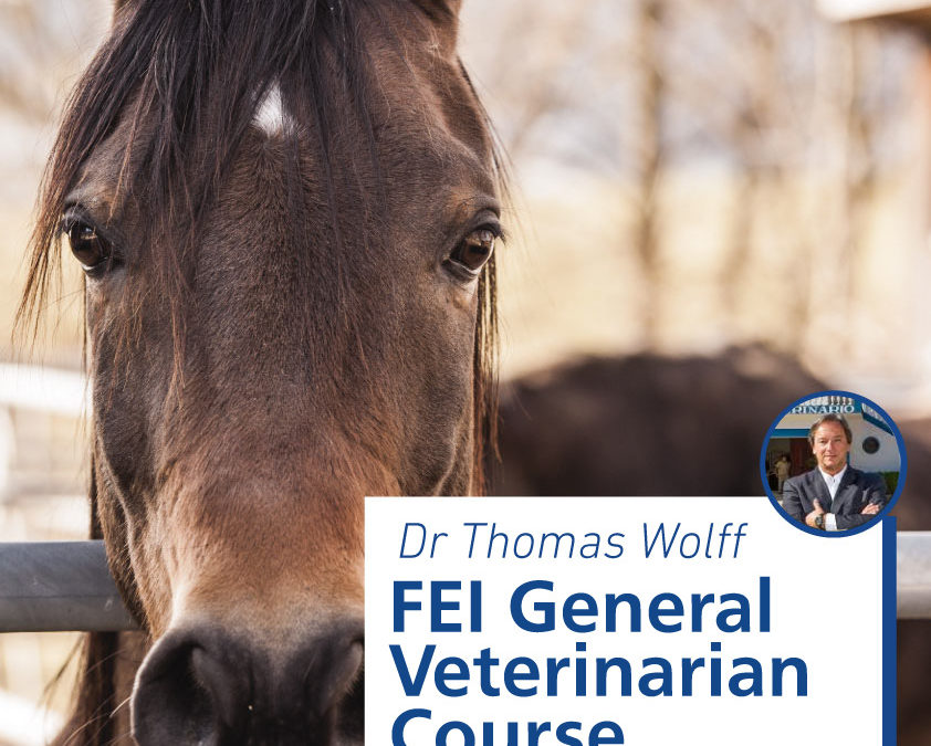 FEI General Veterinarian Course