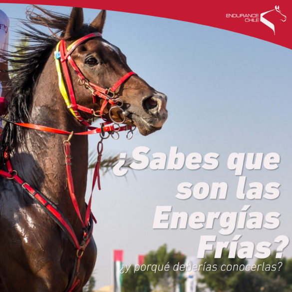 energias-frias