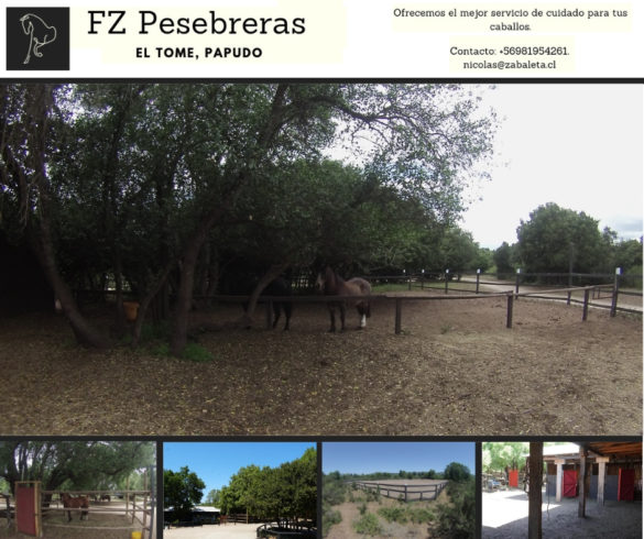 FZ Pesebreras