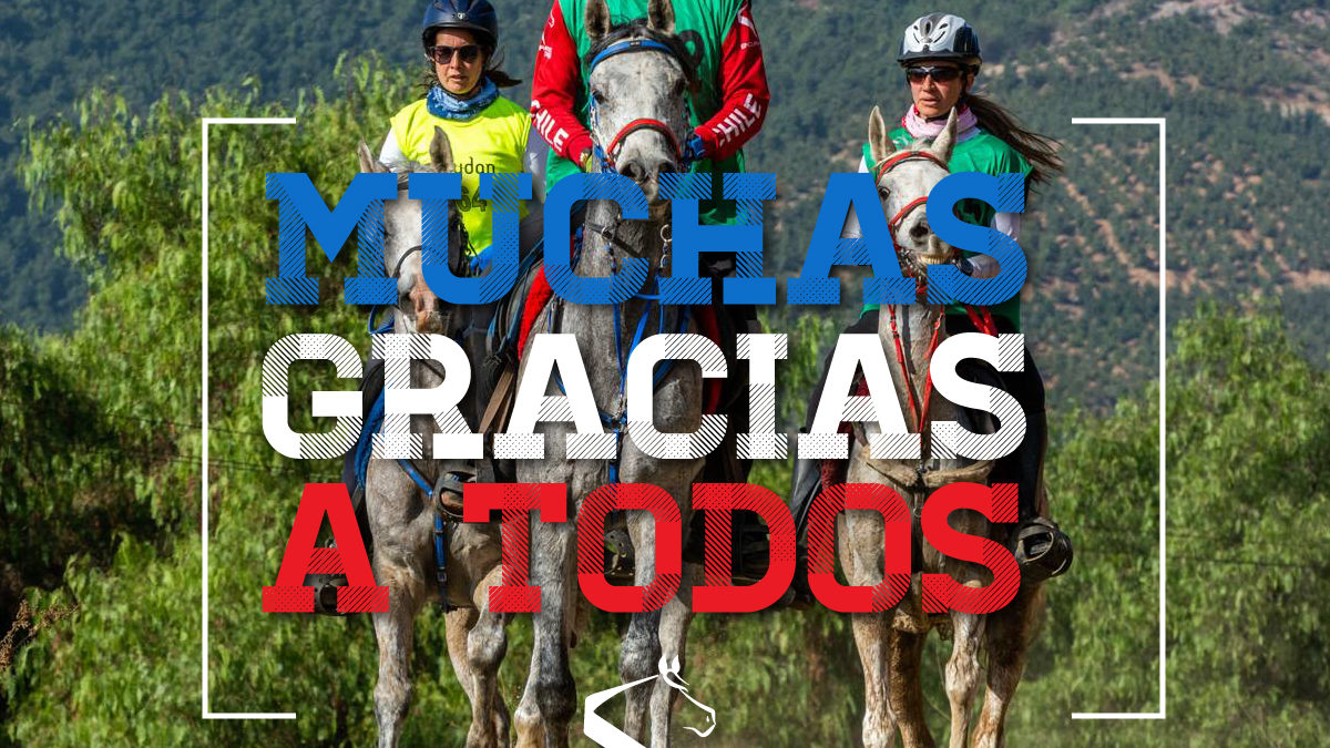 Muchas gracias a todos!