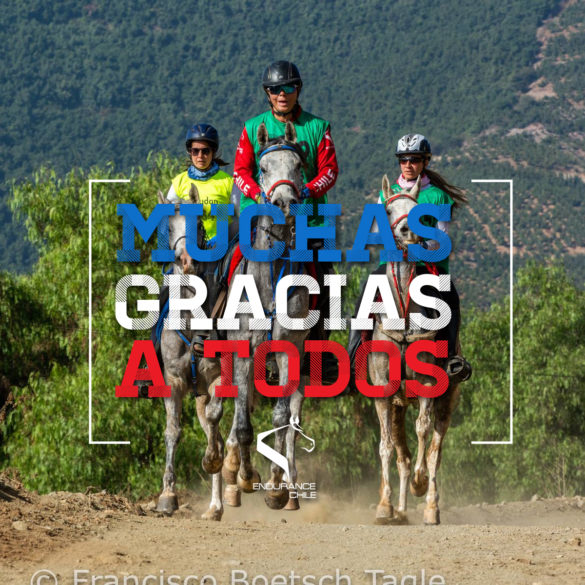 gracias