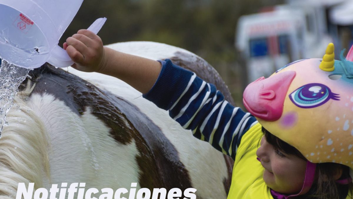 Notificación Endurito y habilitatorias