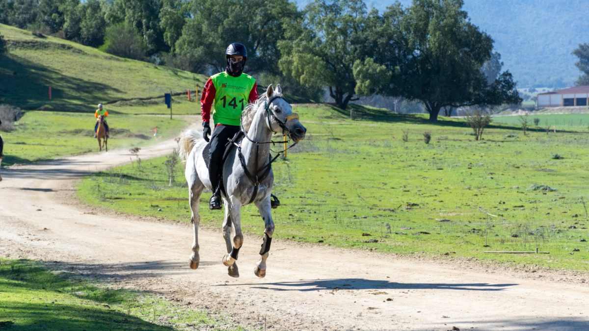 Flamante ganador Martín García en Cal Flaming Drahk