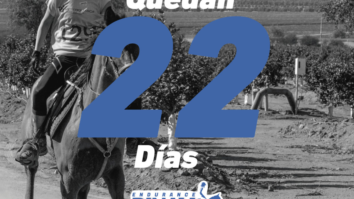 Quedán 22 días!!!