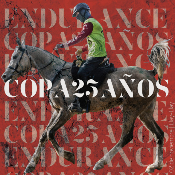 copa25_i