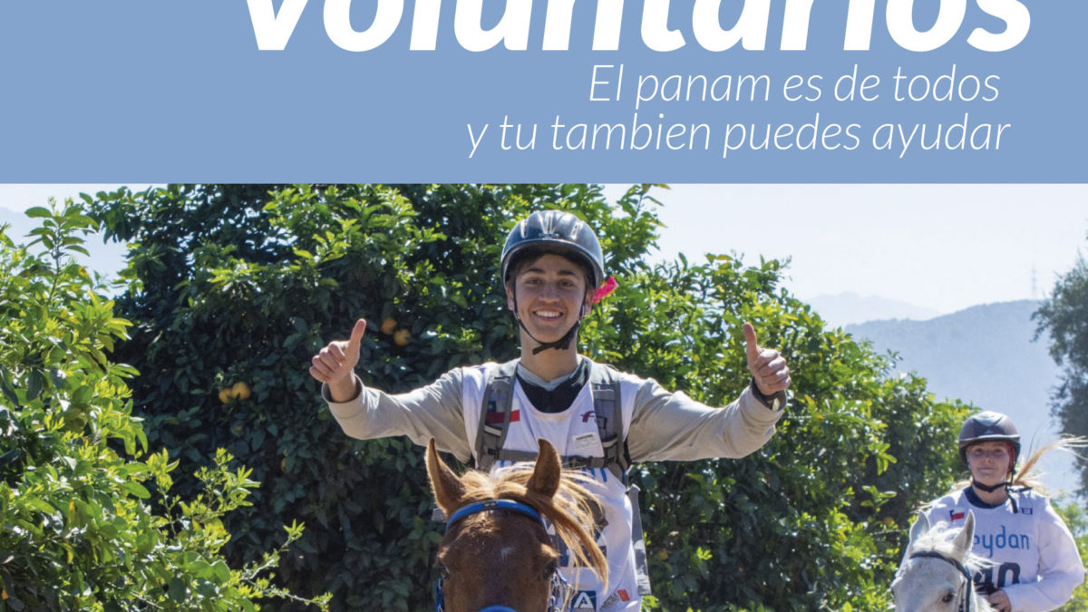 Voluntarios Panam