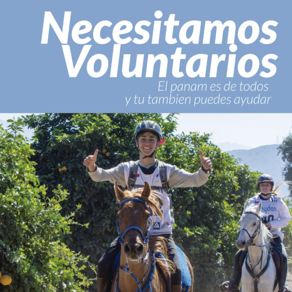 voluntarios