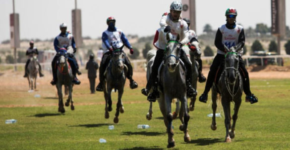 DUBAI-CROWN-PRINCE-ENDURANCE-CUP-CEI-120-KM-780x405