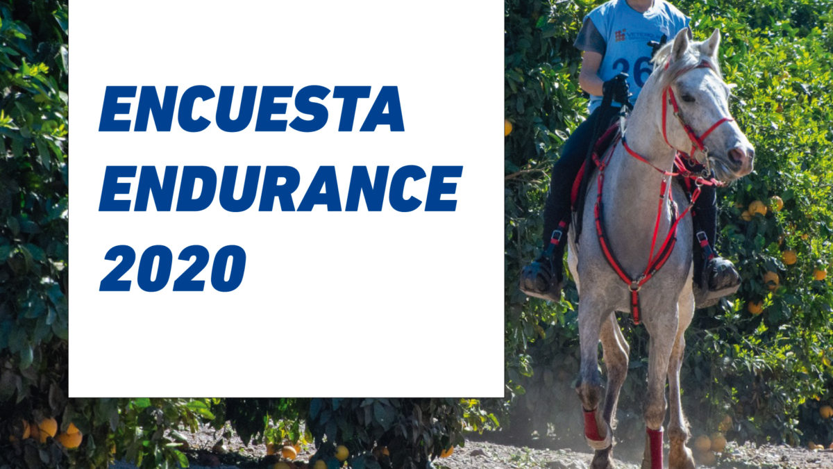 Encuesta Endurance 2020