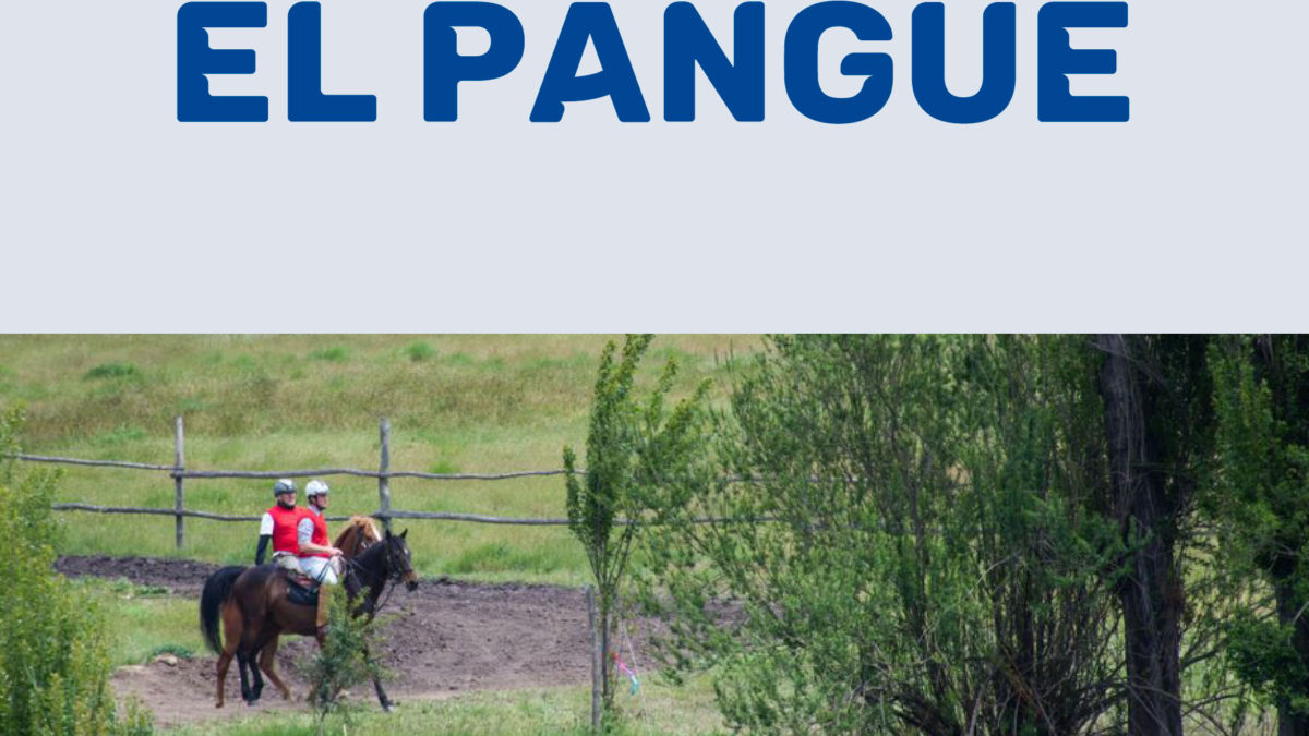 EL PANGUE 7 DE MARZO, PRIMERA FECHA DEL CAMPEONATO 2020