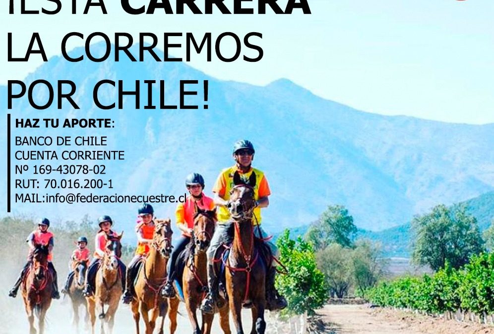 CAMPAÑA PARA IR EN AYUDA DE LOS CAMPESINOS DE PAINE