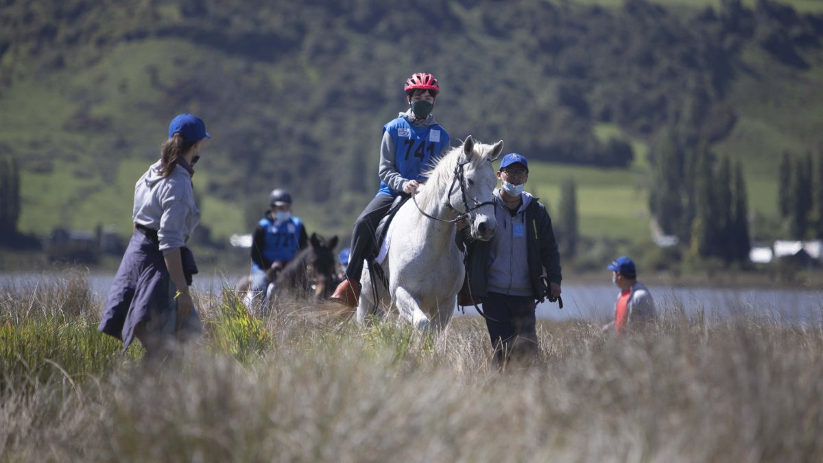 CAMPEONATO ENDURO PARAECUESTRE – Club de Hipoterapia de Chiloé 2021