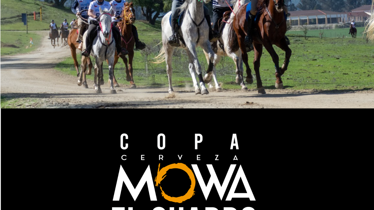 Comunicado Copa Mowa