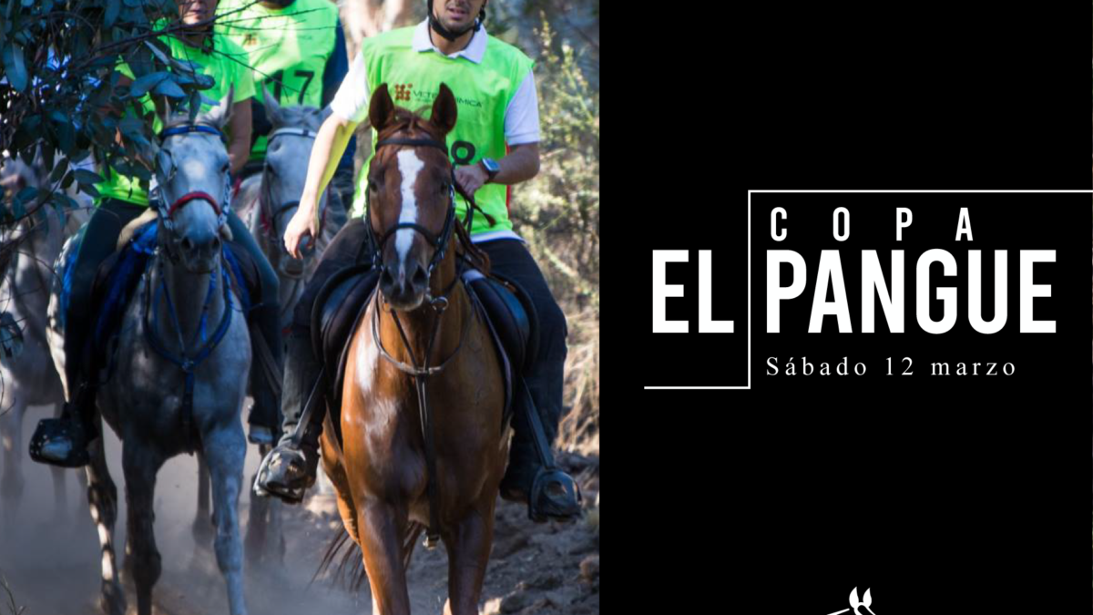 Primera Carrera 2022 – El Pangue