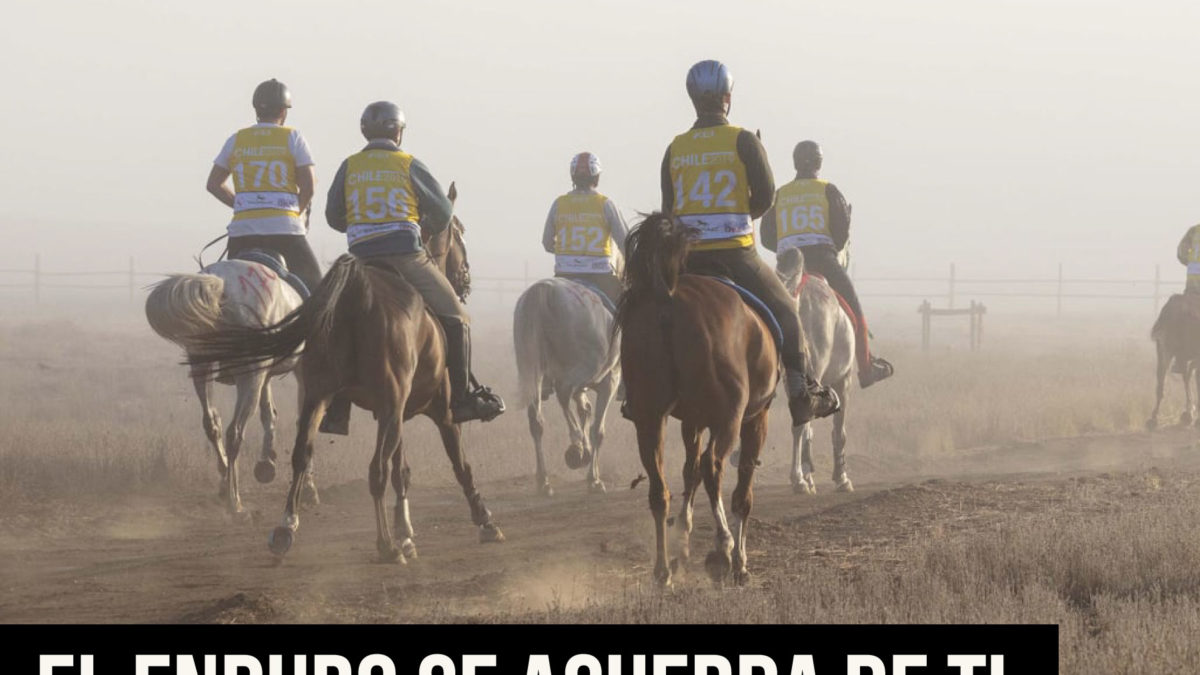 El enduro se acuerda de ti