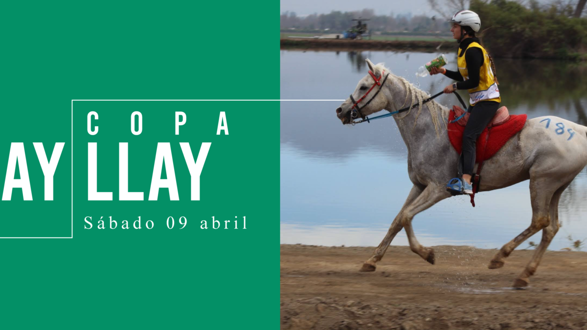 Se viene la Copa Llay-Llay