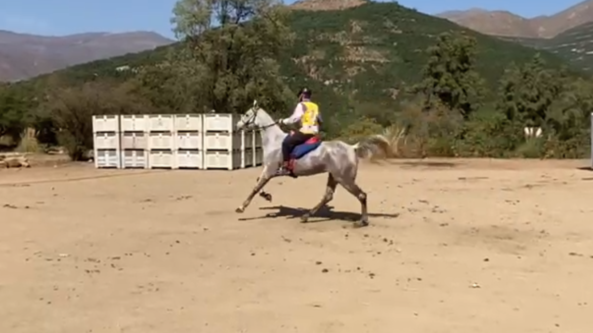 Vicente protagonizó su version de Fast and Furious en Llay-Llay.