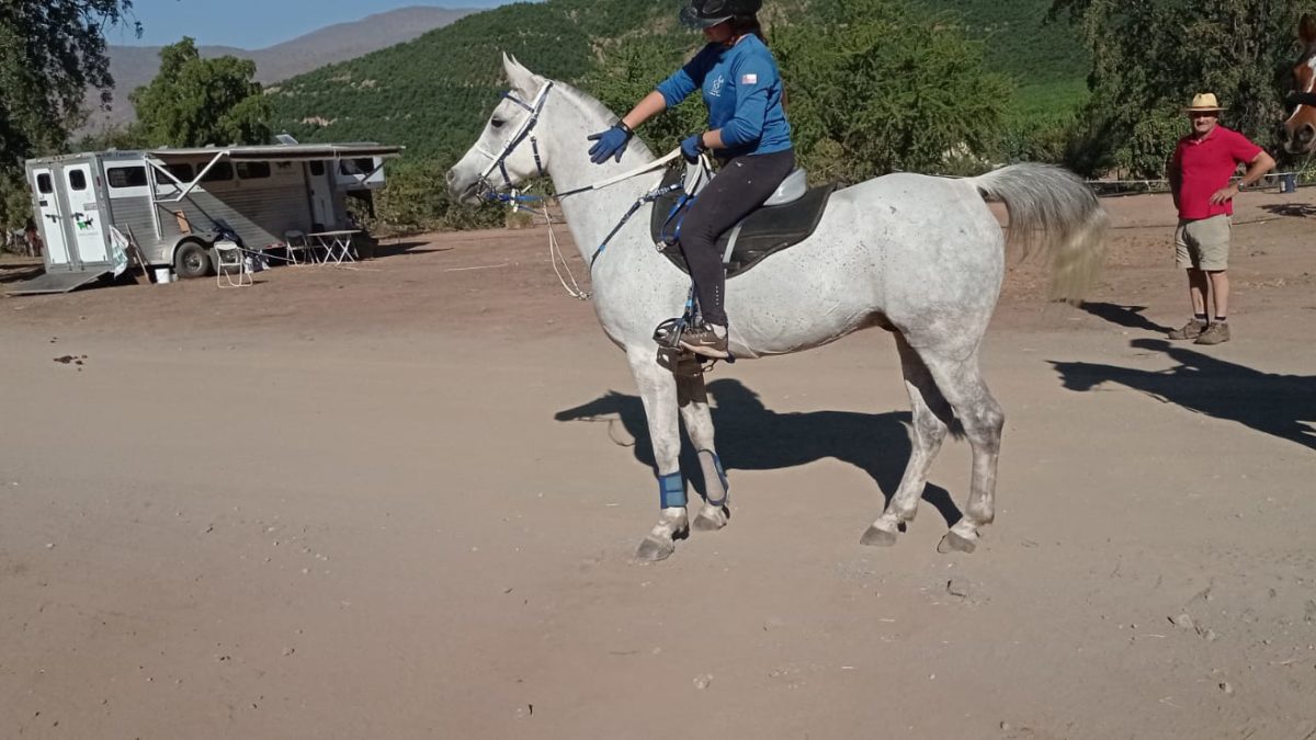 Carajo que carrera.