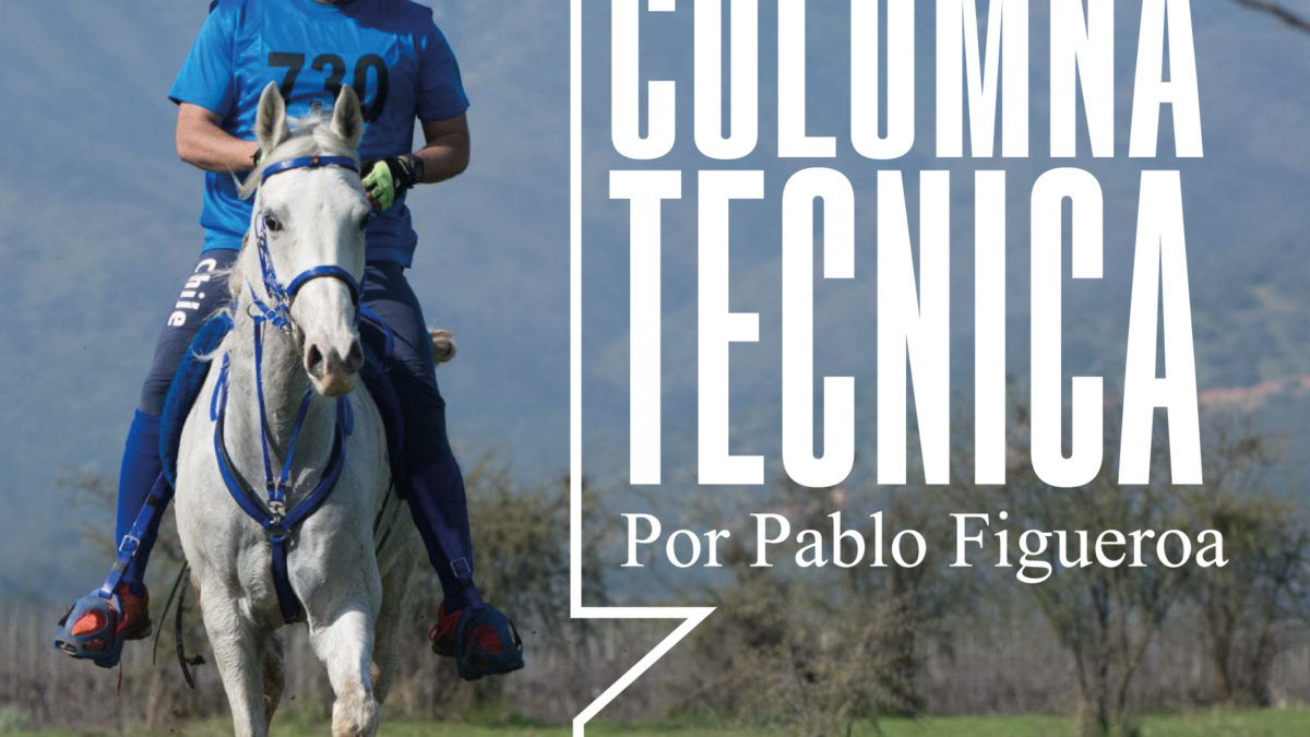 Columna Técnica Llay-Llay Junio por Pablo Figueroa