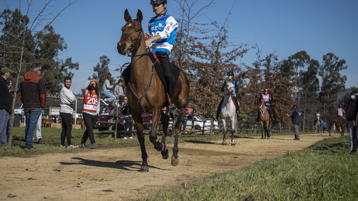 Dientes apretados hasta el final! Cristobal Larrain se gana los 120K adultos con Tia Haydee