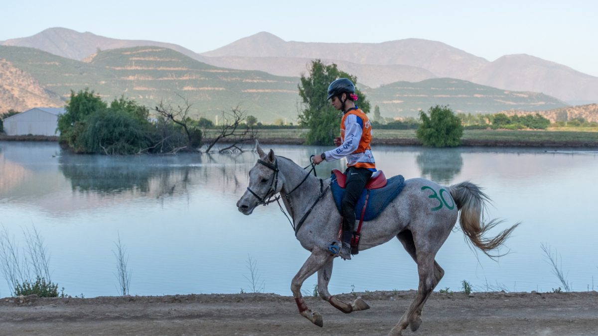 Vicente Larrain y HF EVA invictos en 120K