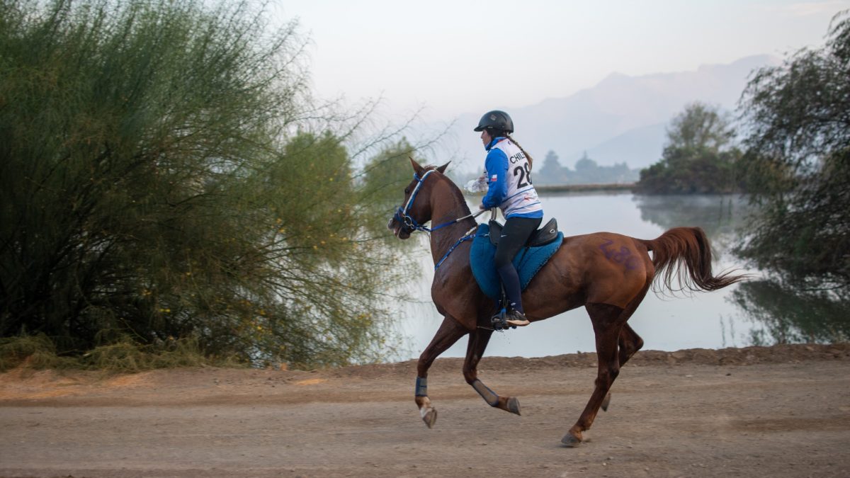 Los caballos buenos ganan carreras, la constancia cumple sueños. Helena Cerpa persevera en 120K.