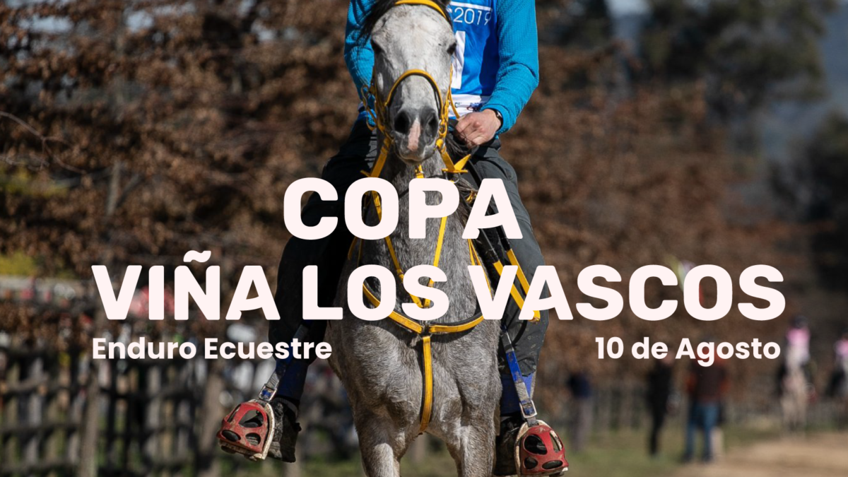 Copa Viña los Vascos