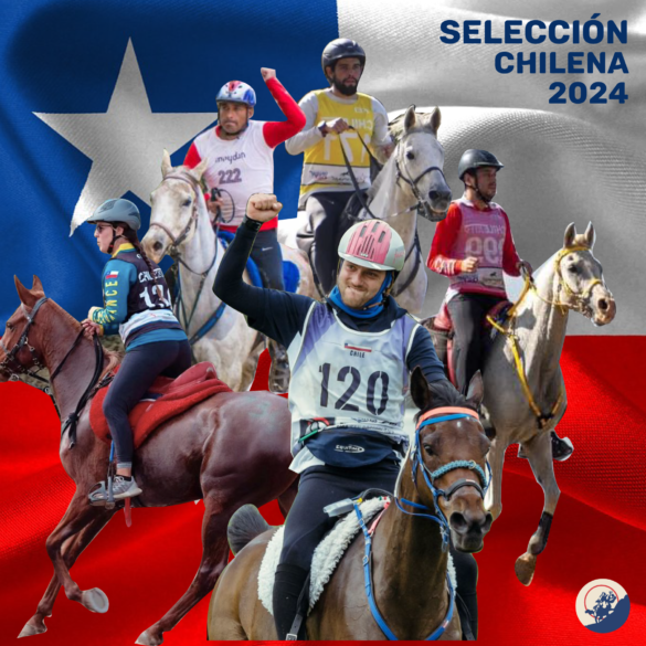 seleccion