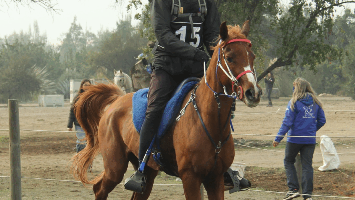 Endurista destacado del mes