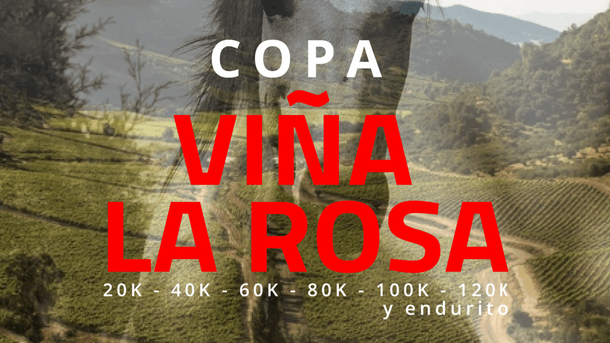 Copa Viña La Rosa