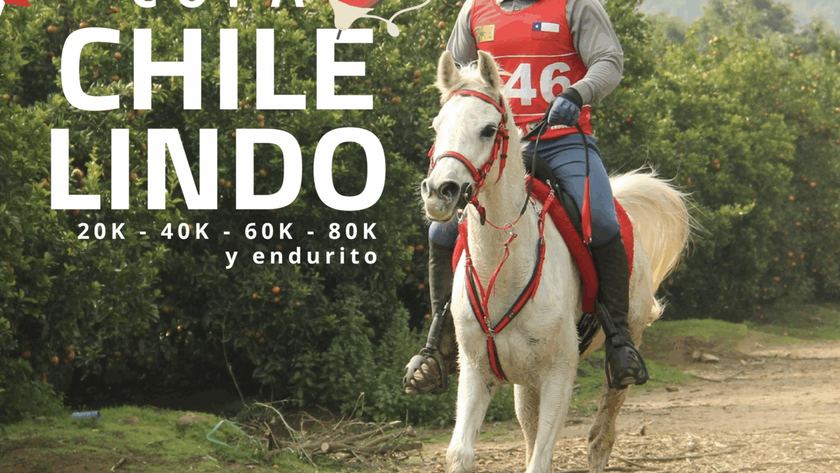 Copa Chile Lindo