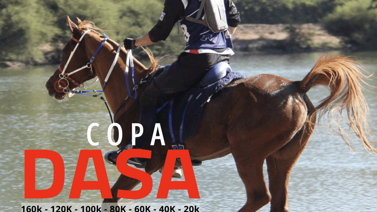 Copa Dasa – FEI CEI3*
