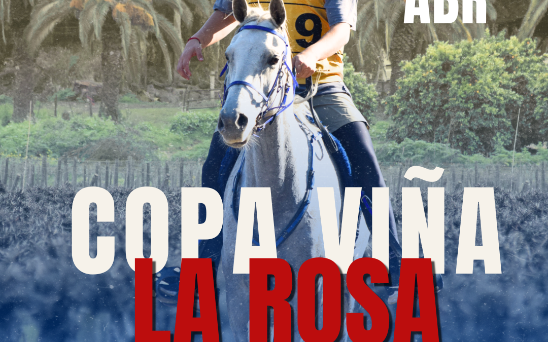 Copa Viña La Rosa